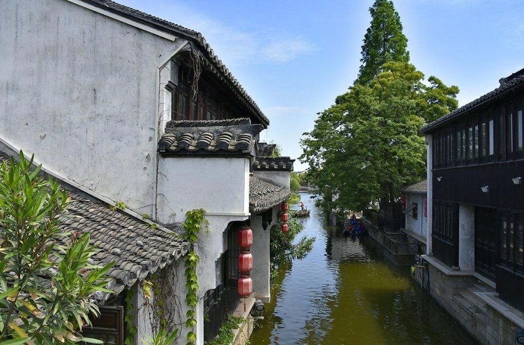 关于花的优美的句子有哪些游戏画面